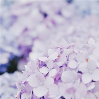 炼狱战魂九游版下载